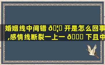 婚姻线中间错 🦈 开是怎么回事,感情线断裂一上一 🐟 下且中间有平行